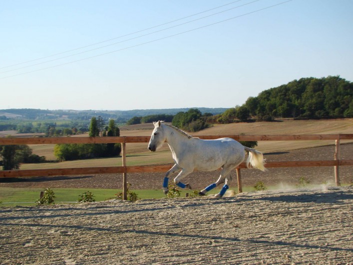 Location de vacances - Gîte à Brugnac - Ranch équestre sur le domaine
