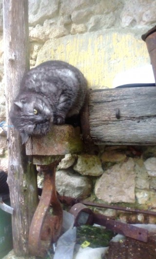 Location de vacances - Gîte à Brugnac