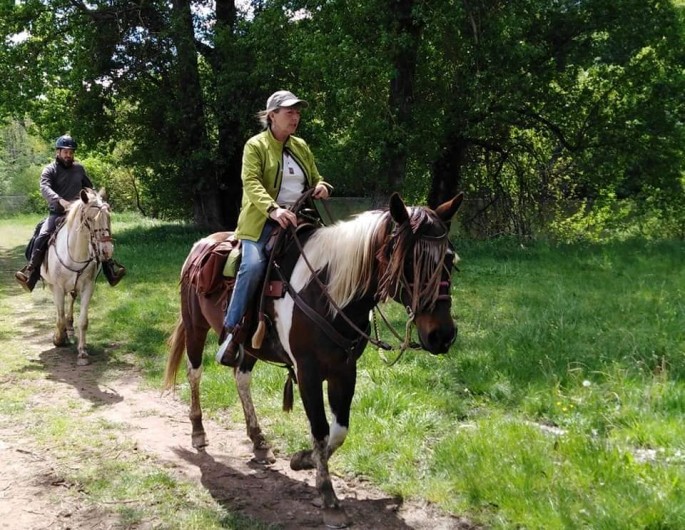 Location de vacances - Gîte à Brugnac - Ranch equestre sur place