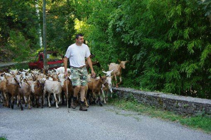 Location de vacances - Mas à Saint-André-de-Valborgne