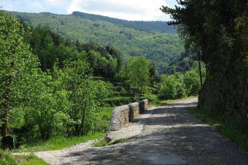 Location de vacances - Mas à Saint-André-de-Valborgne