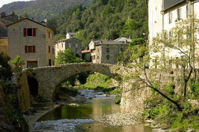 Location de vacances - Mas à Saint-André-de-Valborgne