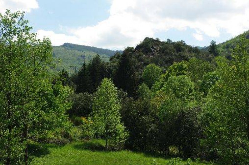 Location de vacances - Mas à Saint-André-de-Valborgne