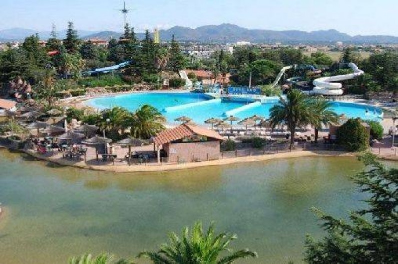 Location de vacances - Appartement à Saint-Aygulf