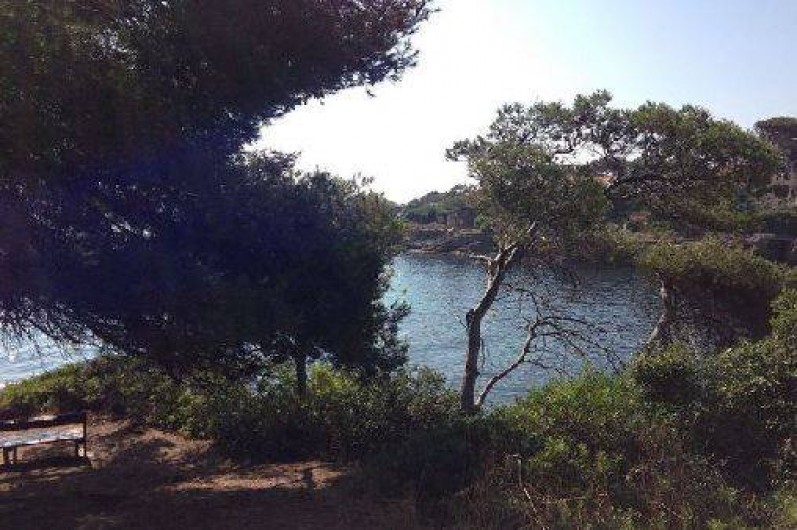 Location de vacances - Appartement à Saint-Aygulf