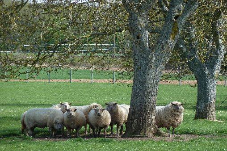 Location de vacances - Gîte à Nargis