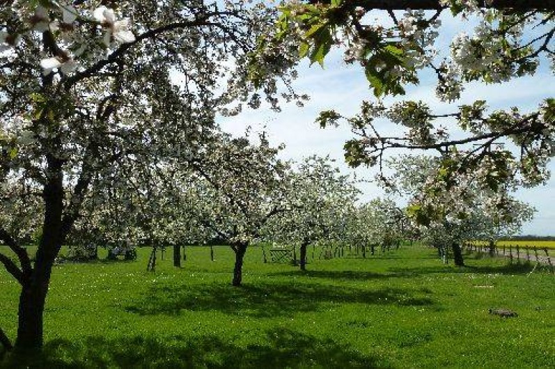 Location de vacances - Gîte à Nargis