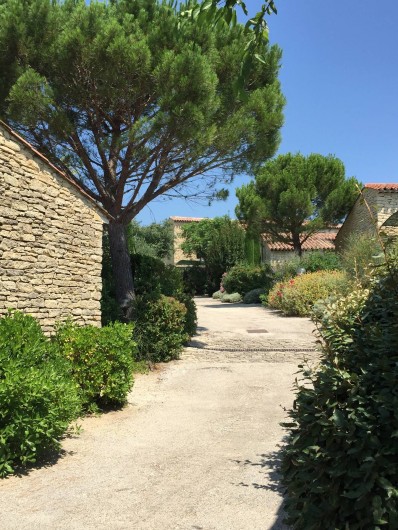 Location de vacances - Gîte à Gordes
