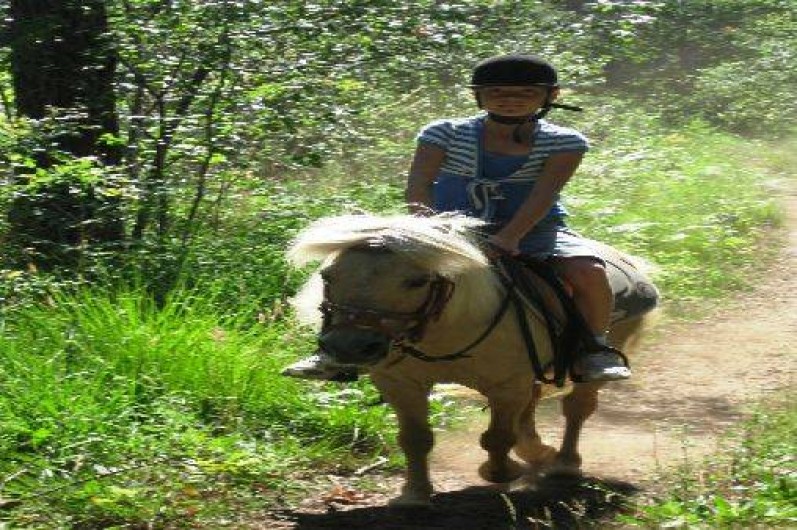 Location de vacances - Villa à Mimizan