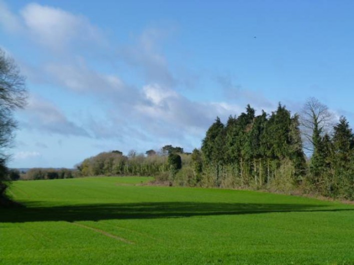 Location de vacances - Gîte à Bieuzy - vue vers le sud