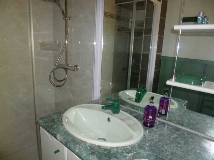 Location de vacances - Gîte à Bieuzy - lavabo et  grande douche italienne au fond