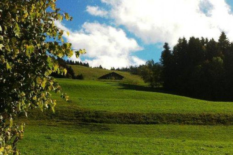 Location de vacances - Chalet à Crest-Voland - Vue depuis la route du chef-lieu été
