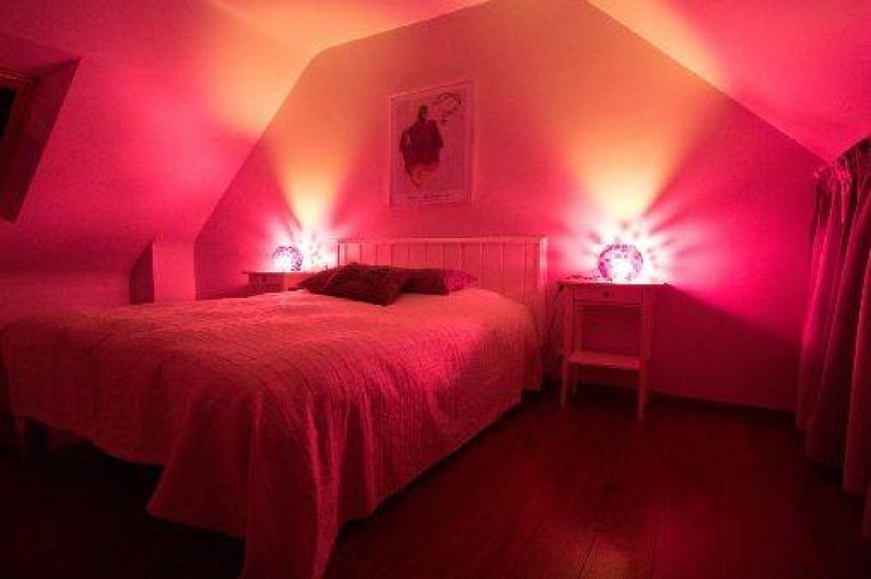 Location de vacances - Gîte à Paimpol