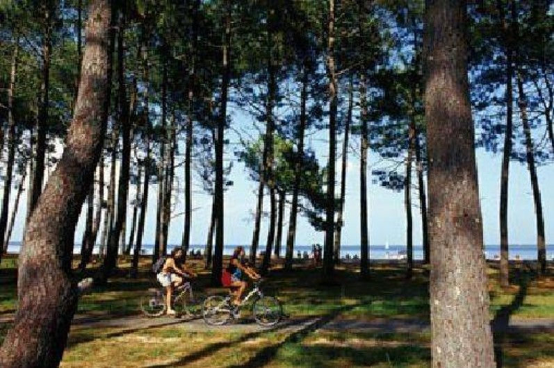 Location de vacances - Villa à Biscarrosse