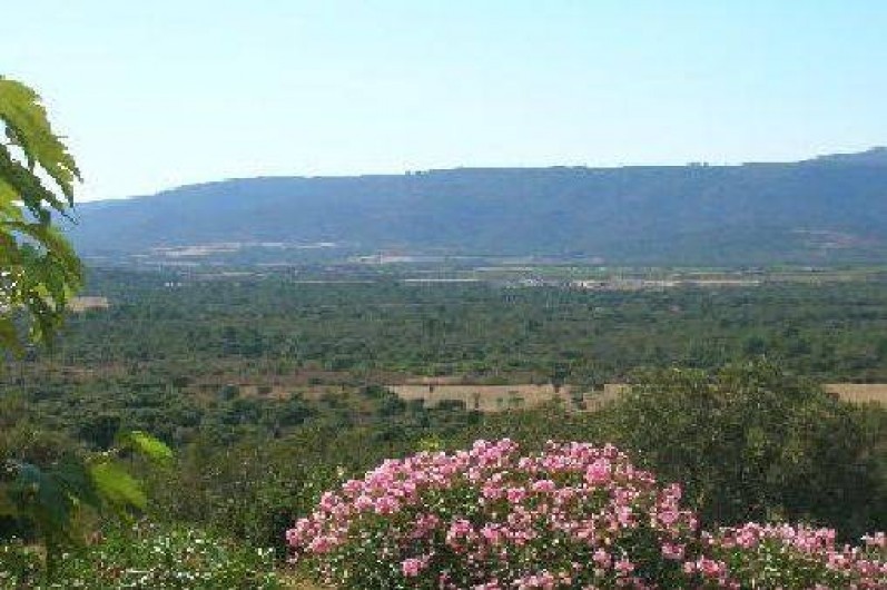 Location de vacances - Maison - Villa à Figari