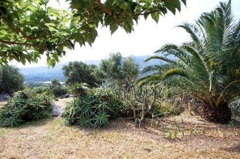 Location de vacances - Villa à Santa-Reparata-Di-Balagna