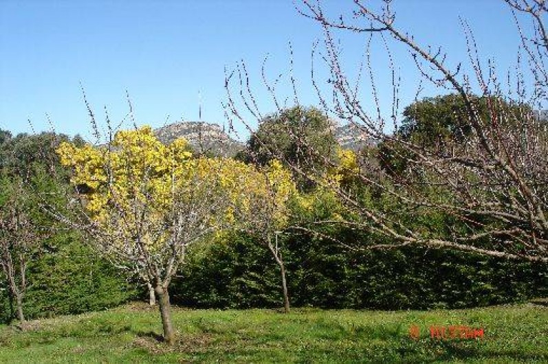 Location de vacances - Gîte à Saint-Florent