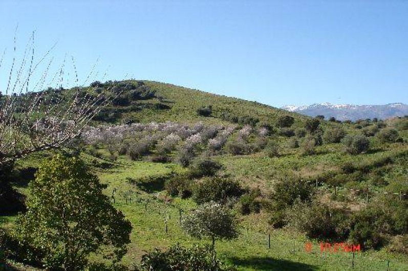 Location de vacances - Gîte à Saint-Florent
