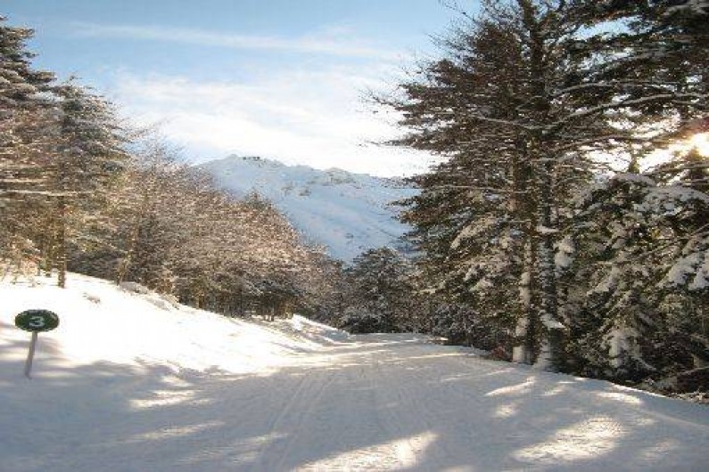 Location de vacances - Appartement à Le Mont-Dore