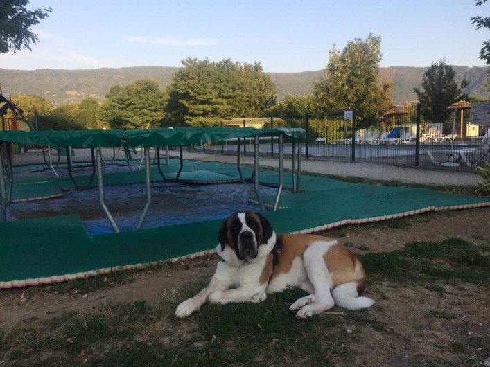 Location de vacances - Camping à Vallières