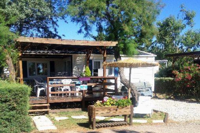 Location de vacances - Camping à Le Barcarès