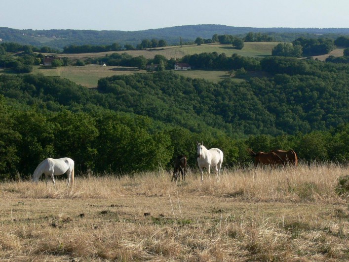 Location de vacances - Gîte à Concorès