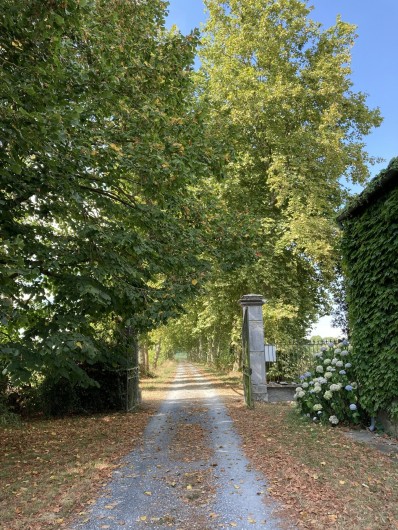 Location de vacances - Gîte à Maubourguet