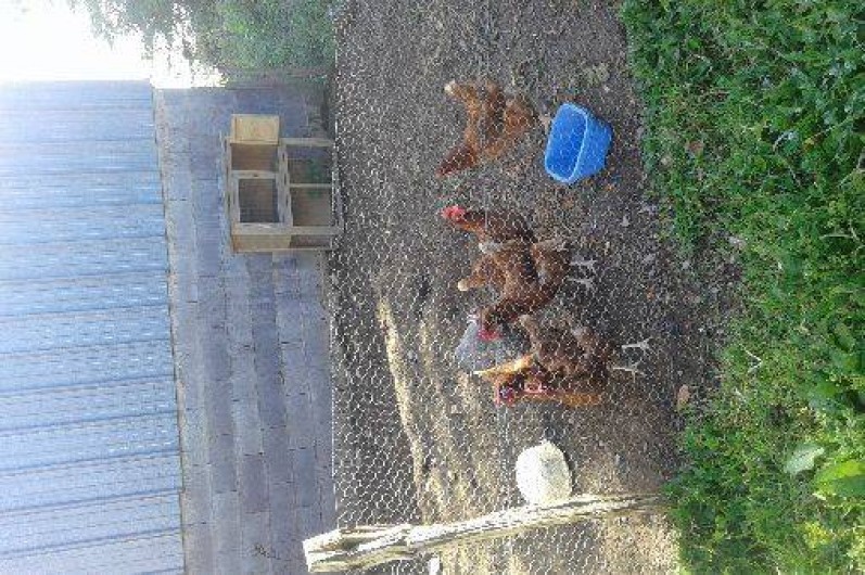 Location de vacances - Gîte à Edern