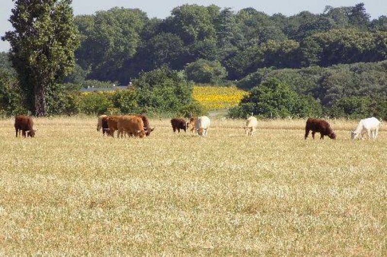 Location de vacances - Gîte à Bourg-lès-Valence