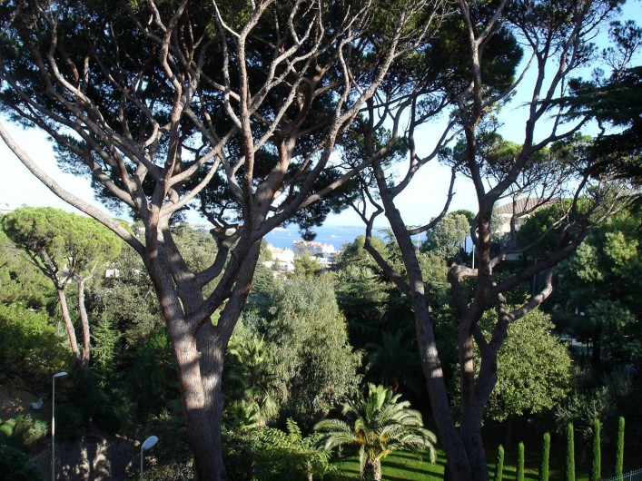 Location de vacances - Appartement à Cannes