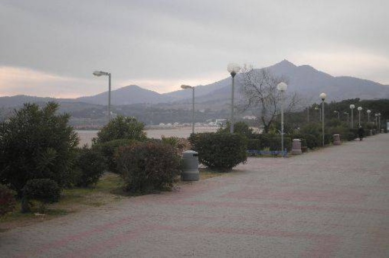 Location de vacances - Appartement à Argelès-sur-Mer