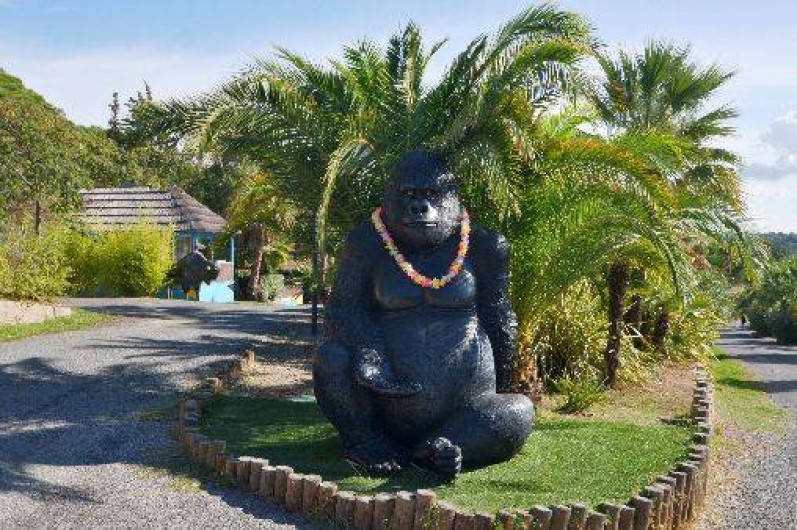 Location de vacances - Camping à Fréjus