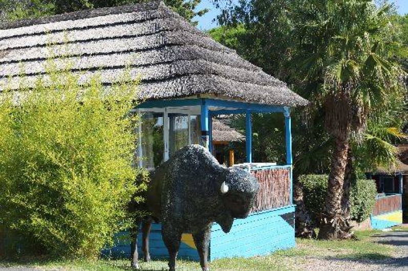 Location de vacances - Camping à Fréjus