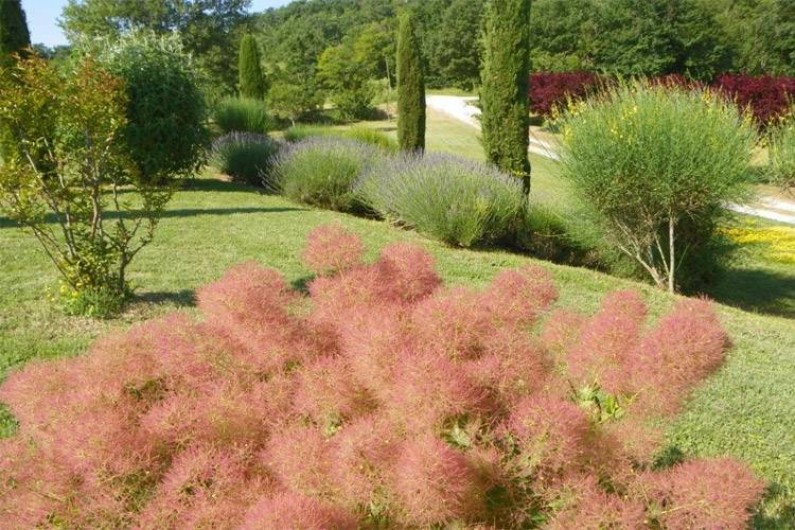 Location de vacances - Villa à Sainte-Juliette - La Borde-Basse Ouest