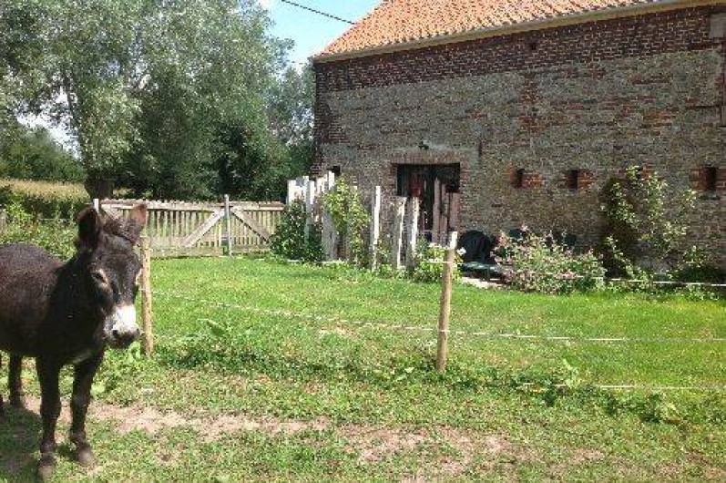 Location de vacances - Chambre d'hôtes à Hergnies