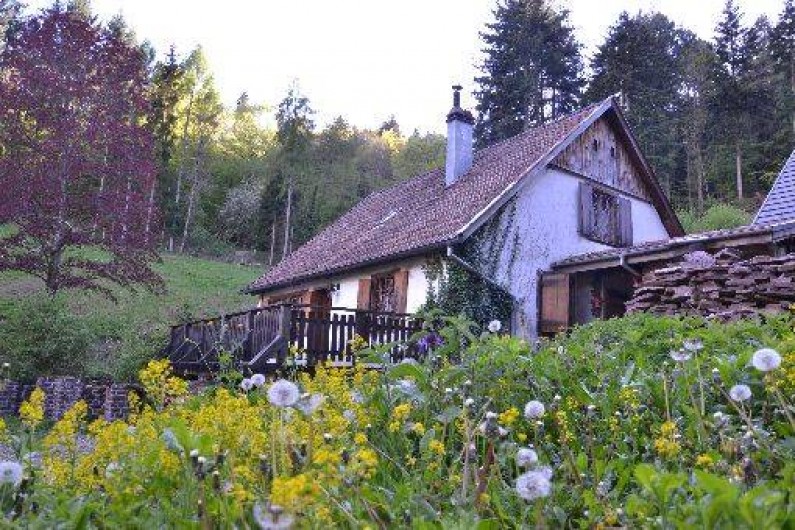 Location de vacances - Chalet à Soultzbach-les-Bains