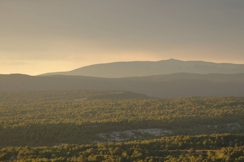 Location de vacances - Maison - Villa à Ménerbes - La vue du Mont Ventoux.