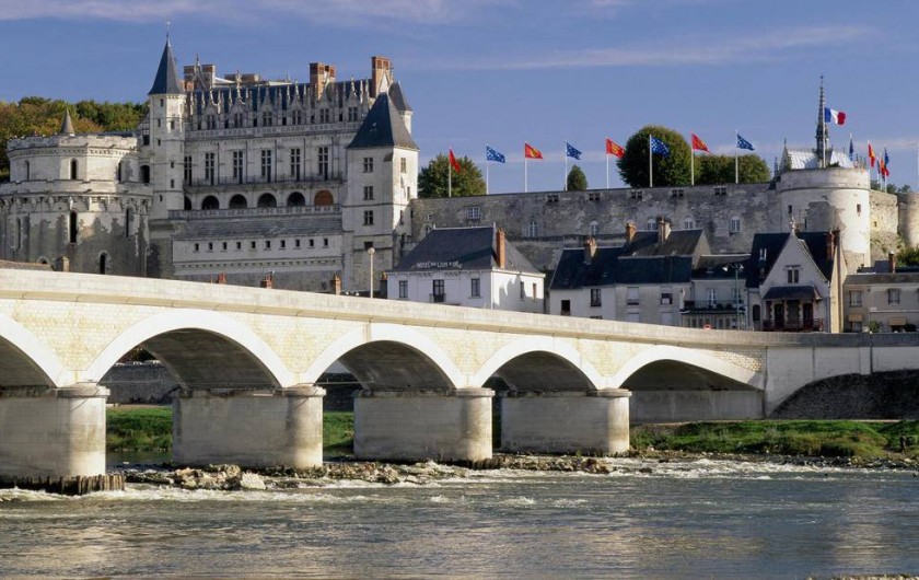 Location de vacances - Gîte à Montlouis-sur-Loire