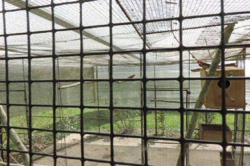 Location de vacances - Gîte à La Chapelle-Montligeon