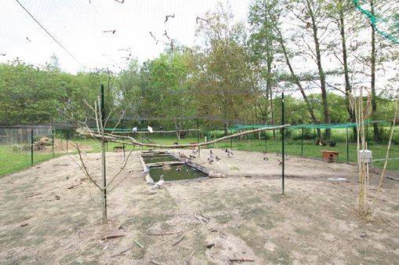 Location de vacances - Gîte à La Chapelle-Montligeon