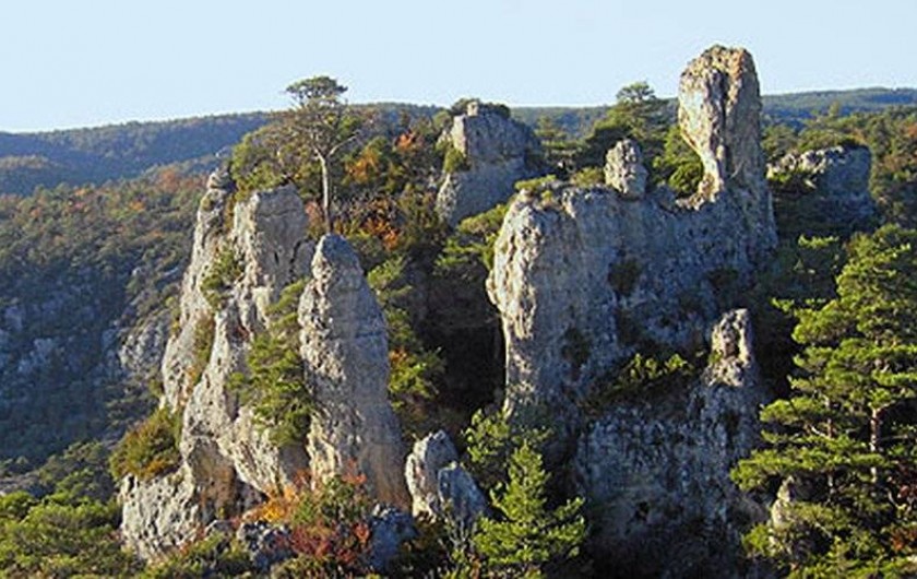 Location de vacances - Gîte à Millau - Montpellier-le-Vieux
