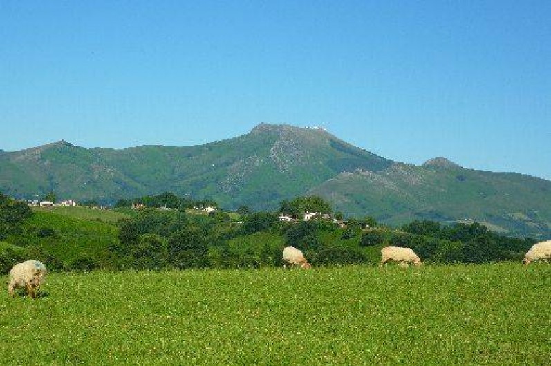 Location de vacances - Villa à Saint-Pée-sur-Nivelle