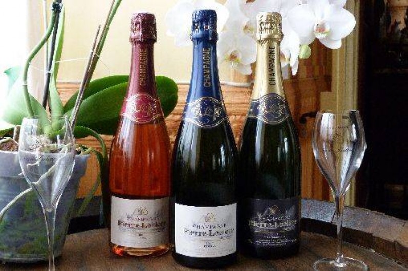 Location de vacances - Chambre d'hôtes à Connigis