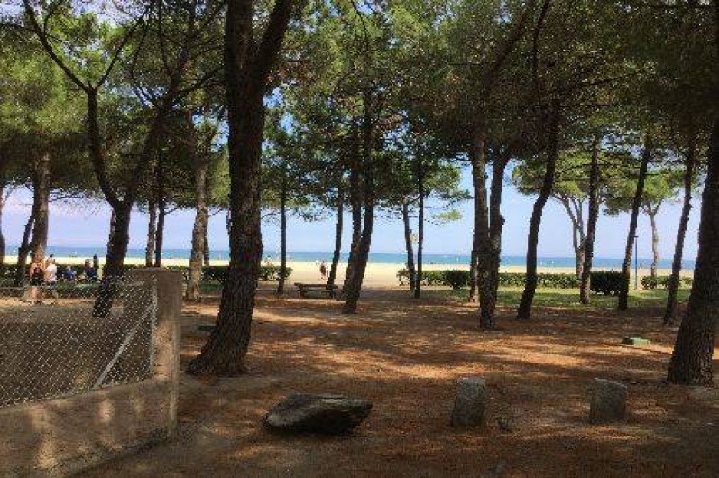 Location de vacances - Appartement à Argelès-sur-Mer