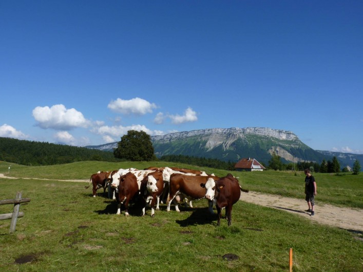 Location de vacances - Chalet à Les Deserts