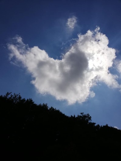 Location de vacances - Chalet à Les Deserts