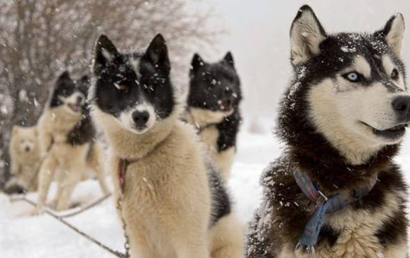 Location de vacances - Chalet à Les Deserts