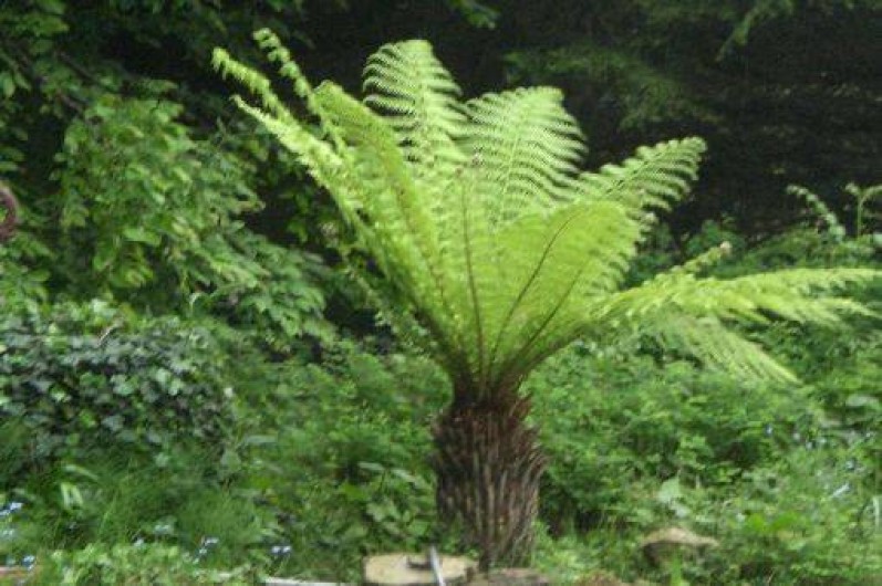 Location de vacances - Appartement à Cancale