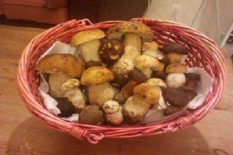 Location de vacances - Chalet à Bolquère