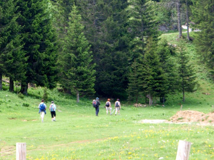 Location de vacances - Gîte à Sancey-le-Grand - randonnées plan à disposition sur place
